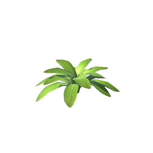 LowPoly Plant A01